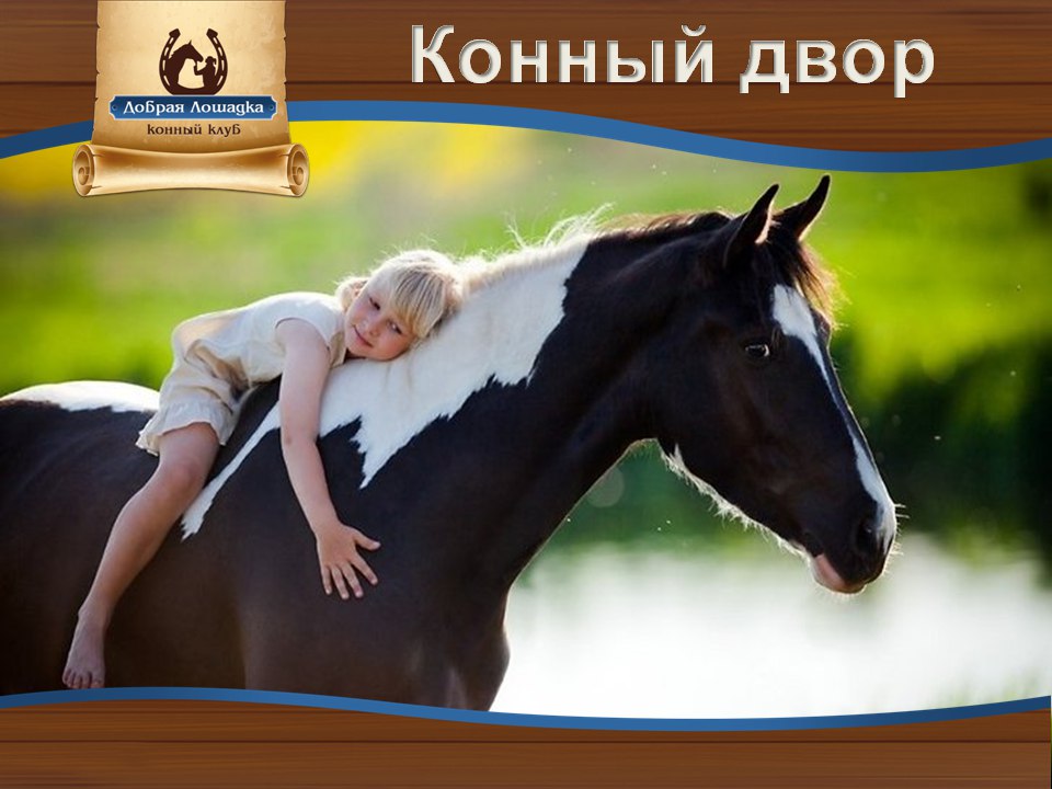 Реклама лошадок. Реклама конного клуба. Конный дворик реклама. Реклама конюшни. Реклама конного двора.